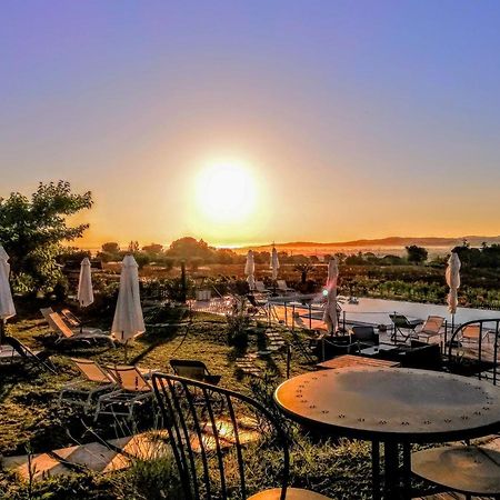 Agriturismo Rosa Antica Monte San Vito Ngoại thất bức ảnh