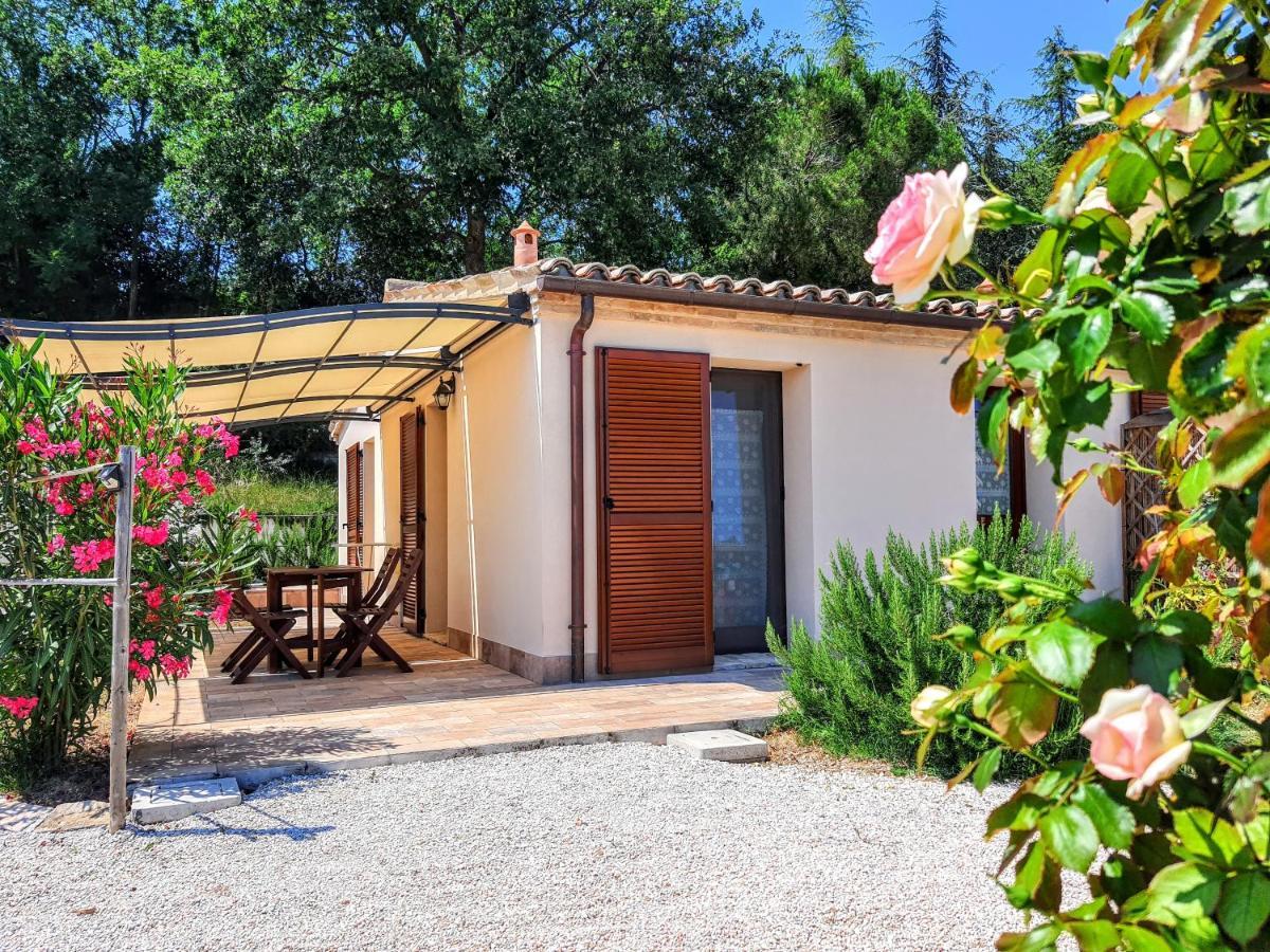 Agriturismo Rosa Antica Monte San Vito Ngoại thất bức ảnh