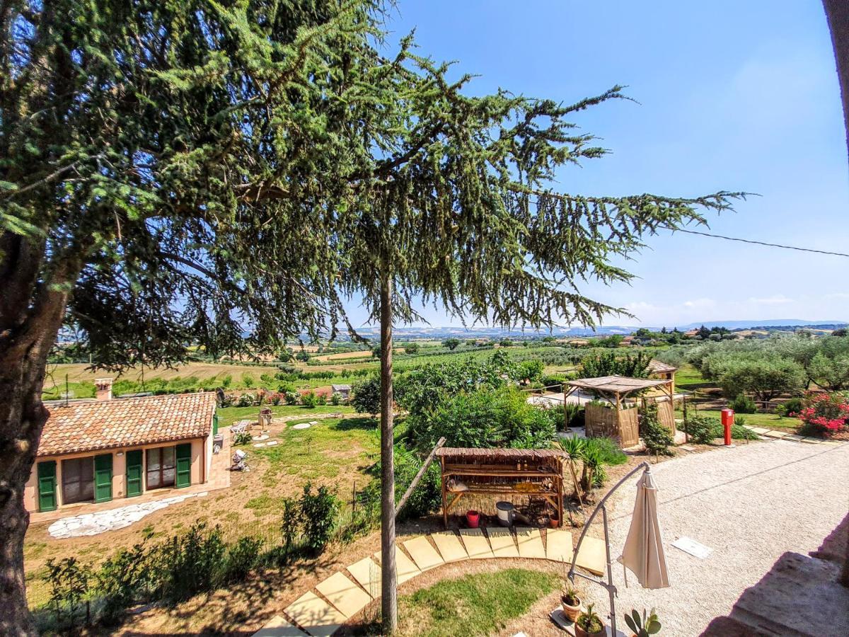 Agriturismo Rosa Antica Monte San Vito Ngoại thất bức ảnh