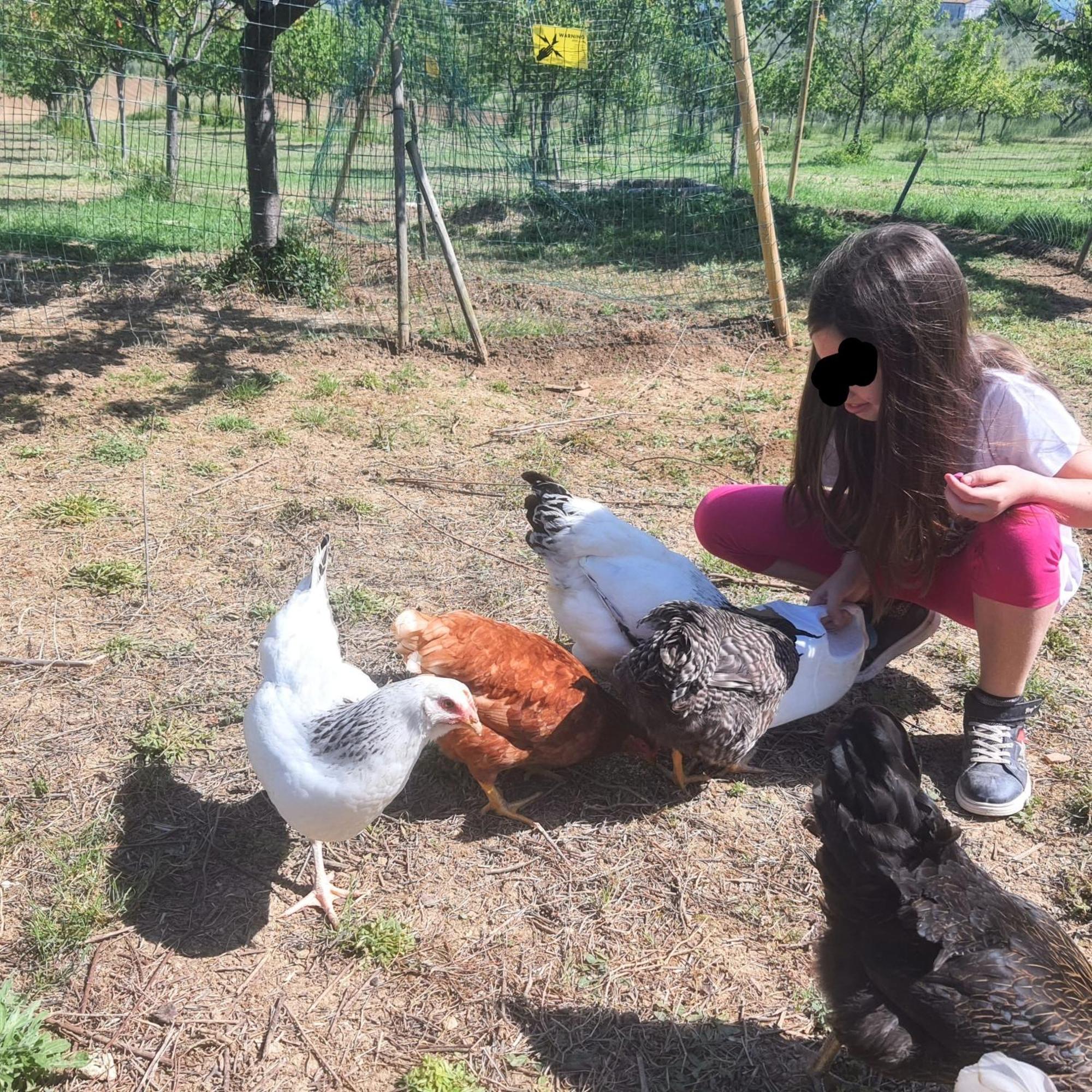 Agriturismo Rosa Antica Monte San Vito Ngoại thất bức ảnh