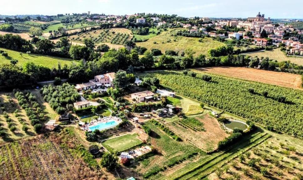 Agriturismo Rosa Antica Monte San Vito Ngoại thất bức ảnh