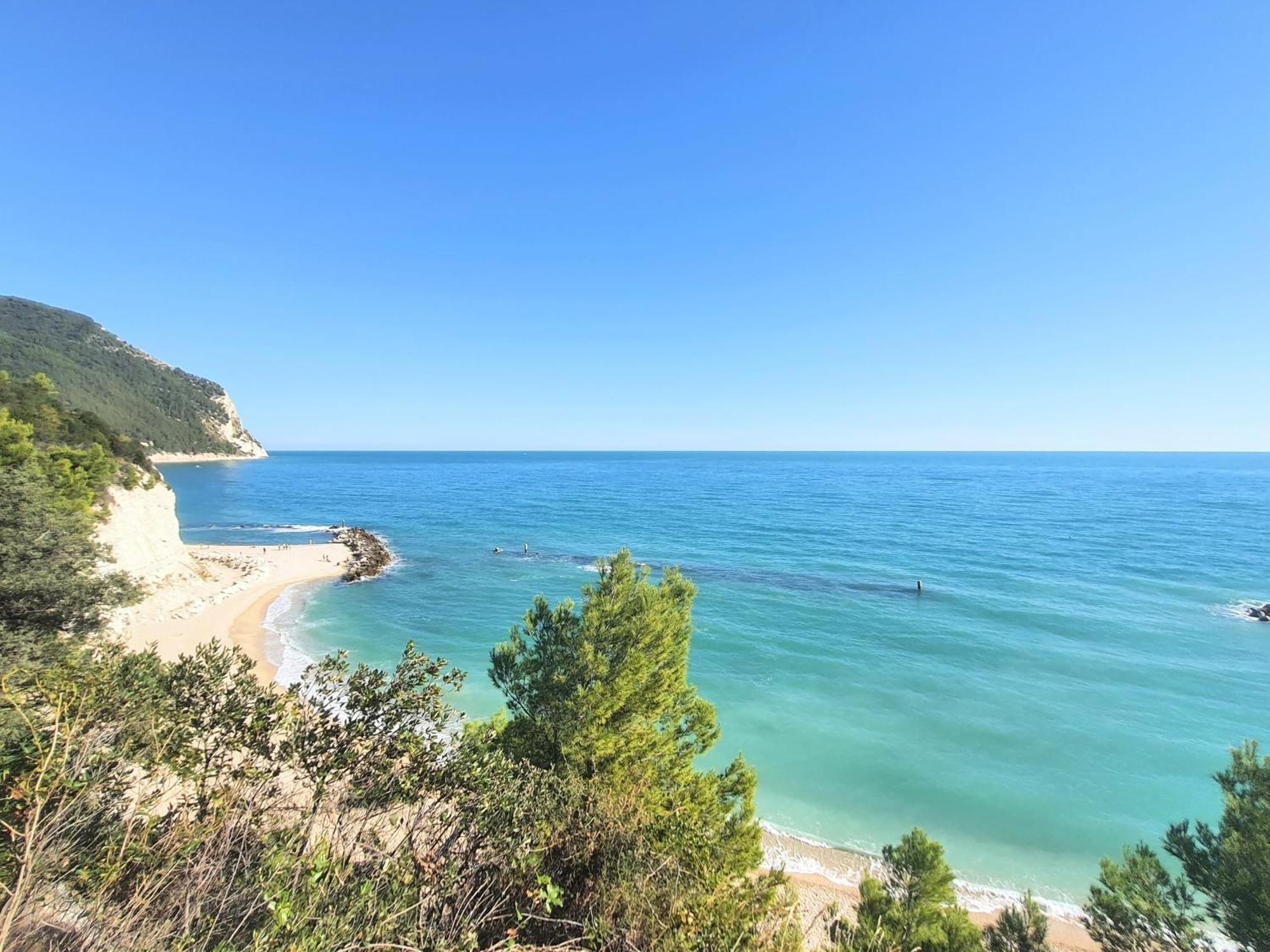 Agriturismo Rosa Antica Monte San Vito Ngoại thất bức ảnh