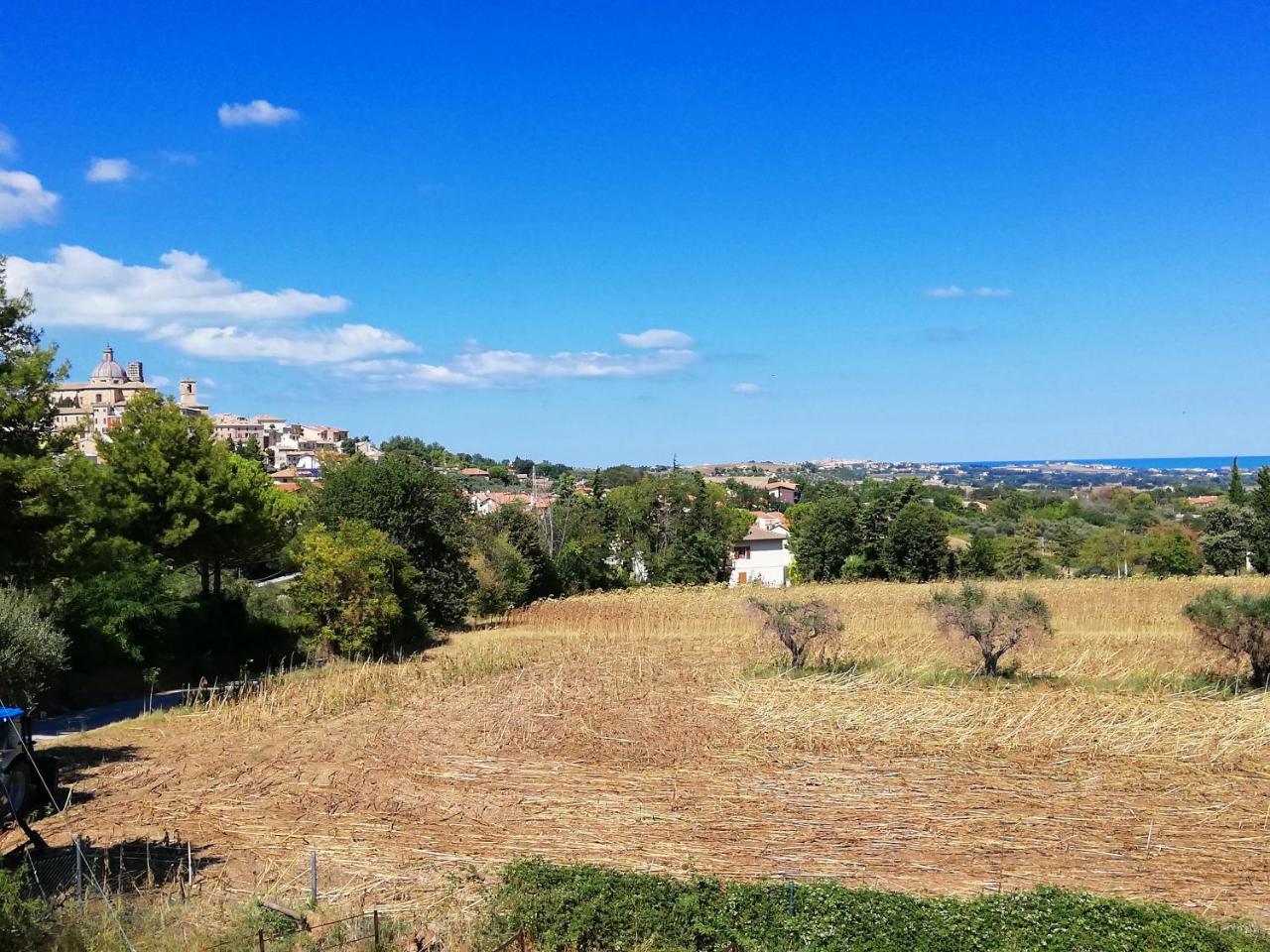 Agriturismo Rosa Antica Monte San Vito Ngoại thất bức ảnh