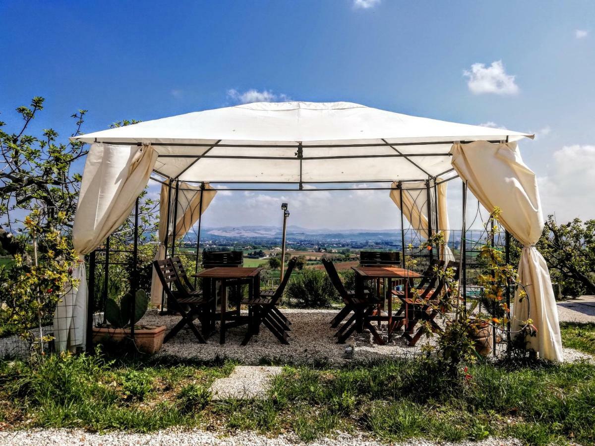 Agriturismo Rosa Antica Monte San Vito Ngoại thất bức ảnh
