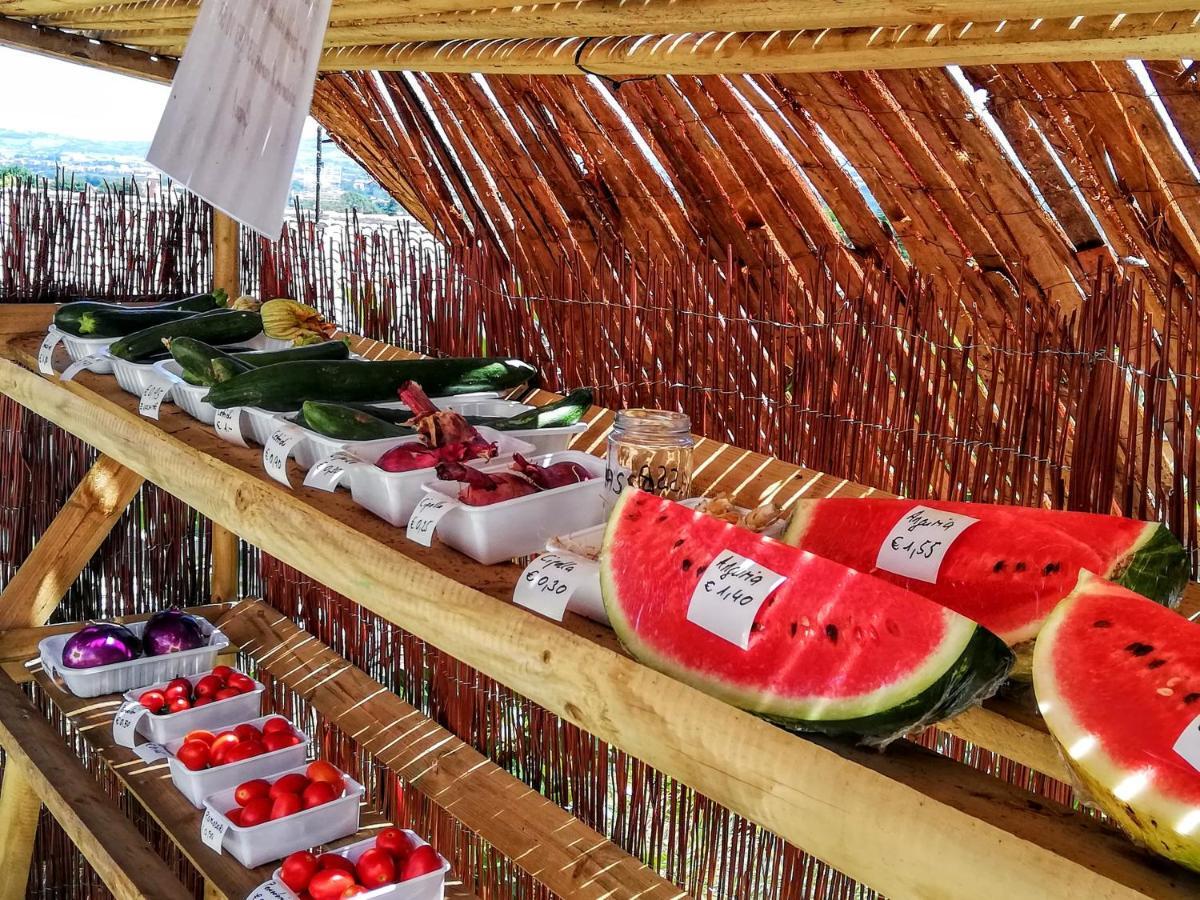 Agriturismo Rosa Antica Monte San Vito Ngoại thất bức ảnh