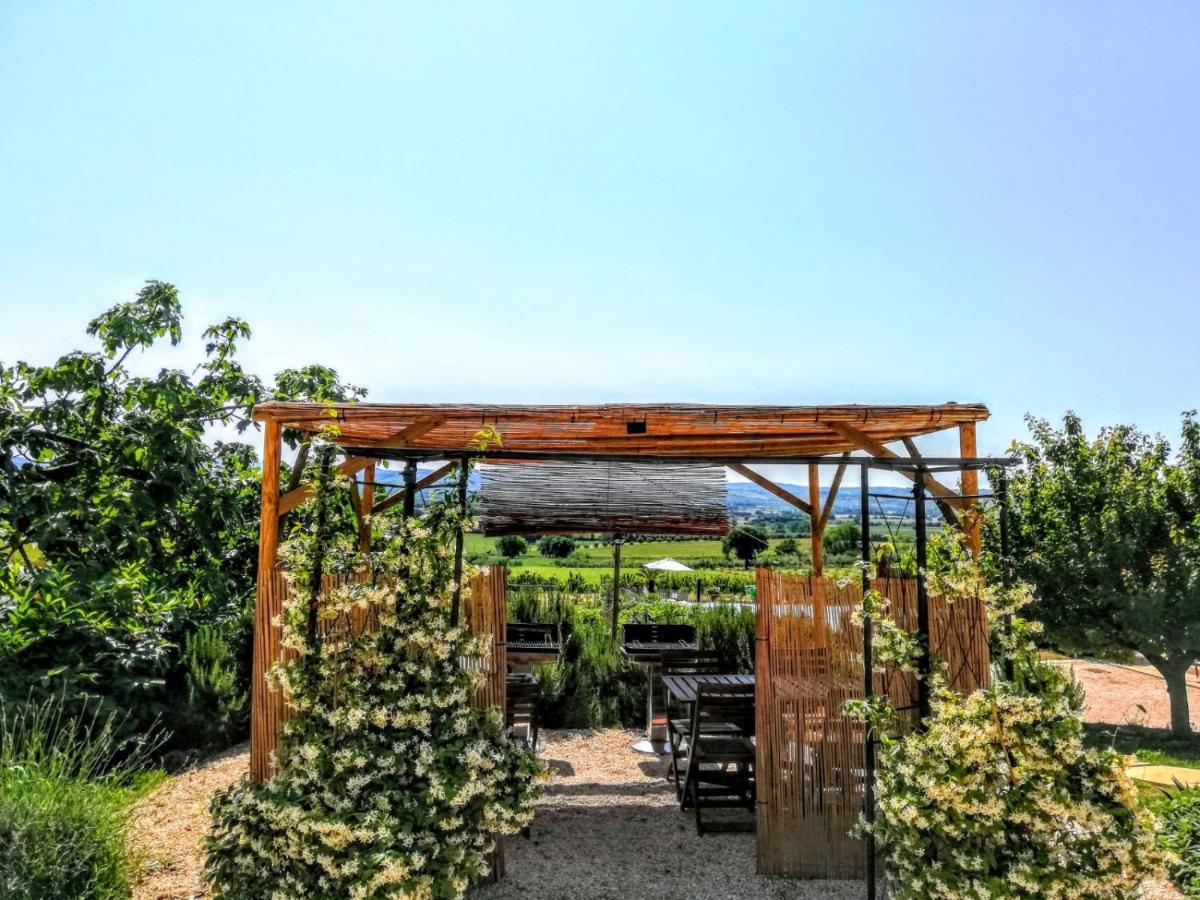 Agriturismo Rosa Antica Monte San Vito Ngoại thất bức ảnh