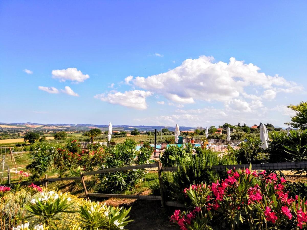 Agriturismo Rosa Antica Monte San Vito Ngoại thất bức ảnh